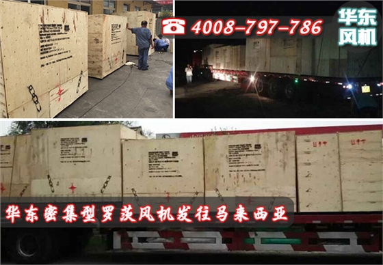 密集型羅茨風(fēng)機(jī)發(fā)貨 密集型羅茨風(fēng)機(jī)發(fā)貨