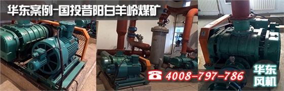 特殊密封羅茨風機 特殊密封羅茨風機