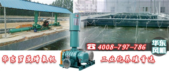 羅茨式增氧機(jī) 羅茨式增氧機(jī)