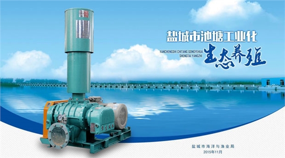 華東羅茨式增氧機 華東羅茨式增氧機