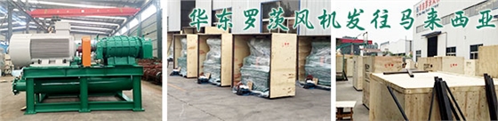 馬來西亞hume cement有限公司水泥項(xiàng)目羅茨風(fēng)機(jī)發(fā)貨現(xiàn)場(chǎng) 馬來西亞hume cement有限公司水泥項(xiàng)目羅茨風(fēng)機(jī)發(fā)貨現(xiàn)場(chǎng)