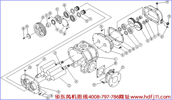 羅茨風機結(jié)構(gòu)圖.jpg 羅茨風機結(jié)構(gòu)圖.jpg