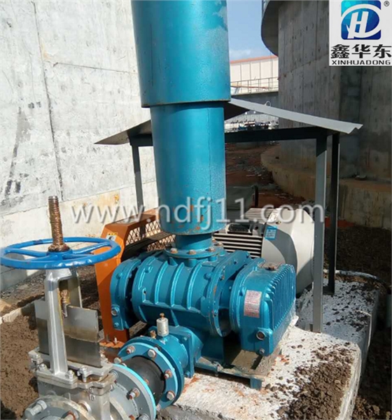 污水處理用羅茨風(fēng)機(jī)使用現(xiàn)場 污水處理用羅茨風(fēng)機(jī)使用現(xiàn)場