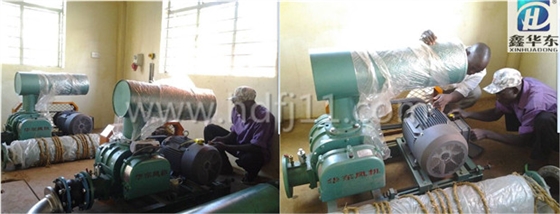 羅茨風機使用現(xiàn)場 羅茨風機使用現(xiàn)場