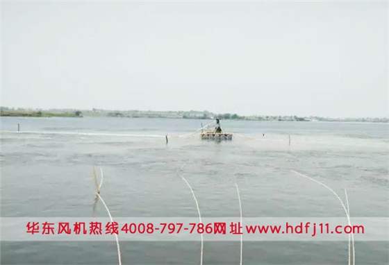 微孔曝氣增氧機鱖魚水產養(yǎng)殖.jpg 微孔曝氣增氧機鱖魚水產養(yǎng)殖.jpg