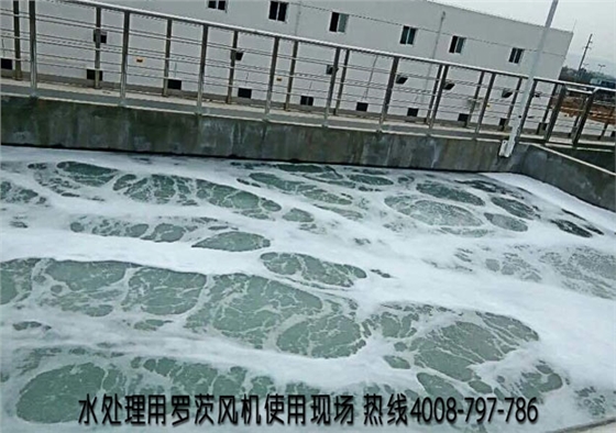 羅茨風(fēng)機介紹.jpg 羅茨風(fēng)機介紹.jpg