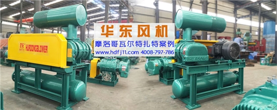 華東羅茨風(fēng)機(jī) 華東羅茨風(fēng)機(jī)