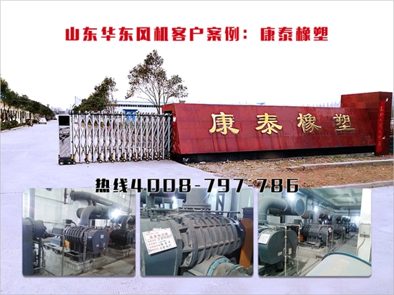 二葉羅茨風機 二葉羅茨風機