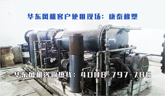 二葉羅茨風機 二葉羅茨風機