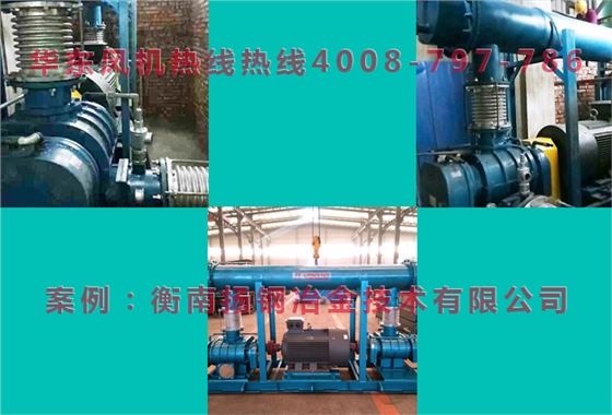 雙級串聯(lián)羅茨鼓風(fēng)機(jī) 雙級串聯(lián)羅茨鼓風(fēng)機(jī)