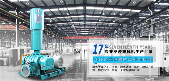 羅茨風機廠家 羅茨風機廠家
