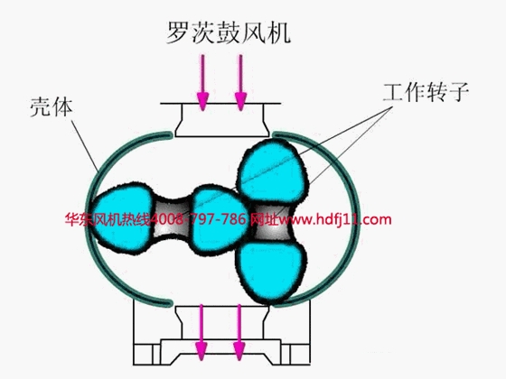 二葉羅茨風(fēng)機.gif 二葉羅茨風(fēng)機.gif