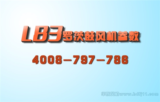 L系列羅茨風機2.jpg L系列羅茨風機2.jpg