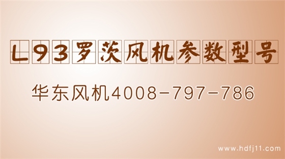 L93系列羅茨風(fēng)機(jī).jpg L93系列羅茨風(fēng)機(jī).jpg