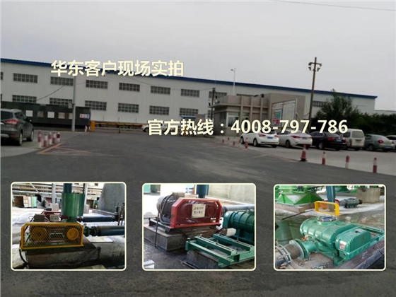 三葉羅茨風(fēng)機(jī) 三葉羅茨風(fēng)機(jī)