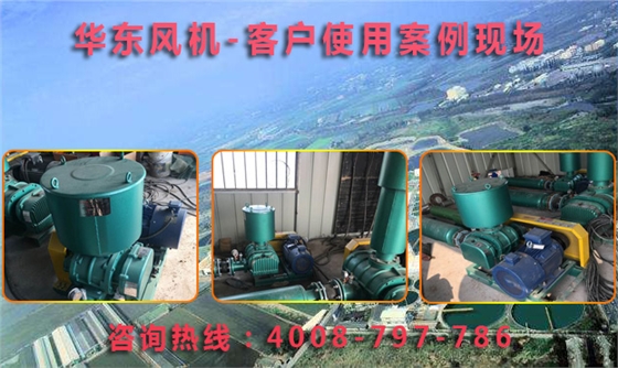 三葉羅茨風(fēng)機(jī) 三葉羅茨風(fēng)機(jī)