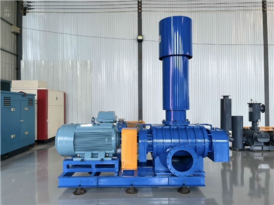 華東羅茨風(fēng)機(jī) 華東羅茨風(fēng)機(jī)