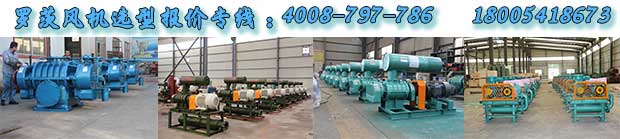 羅茨風(fēng)機(jī) 羅茨風(fēng)機(jī)