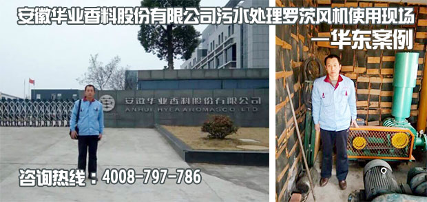 安徽華業(yè)香料污水處理用羅茨風(fēng)機(jī)使用現(xiàn)場 安徽華業(yè)香料污水處理用羅茨風(fēng)機(jī)使用現(xiàn)場