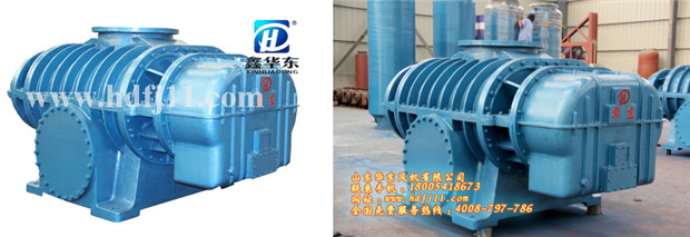 二葉羅茨風(fēng)機(jī) 二葉羅茨風(fēng)機(jī)