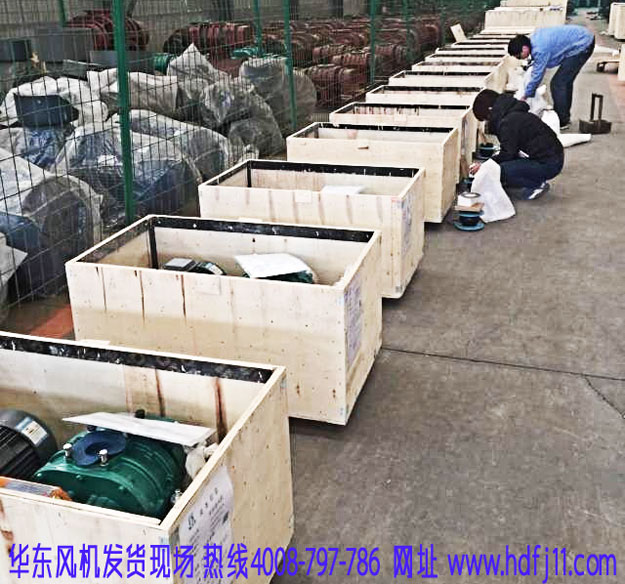 羅茨風(fēng)機(jī)發(fā)貨現(xiàn)場(chǎng).jpg 羅茨風(fēng)機(jī)發(fā)貨現(xiàn)場(chǎng).jpg