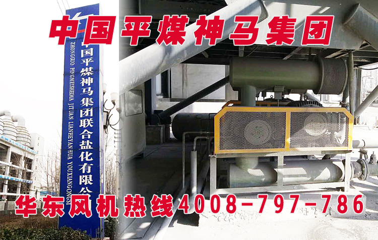 密集型羅茨鼓風(fēng)機(jī) 密集型羅茨鼓風(fēng)機(jī)