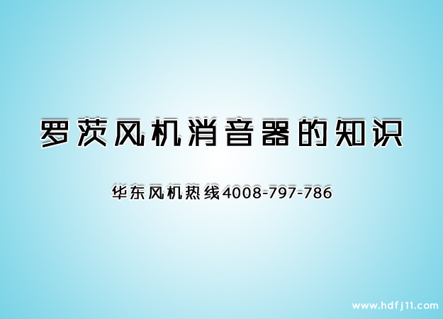 羅茨鼓風機消音器.jpg
