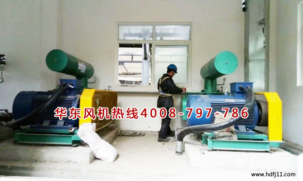 三葉羅茨風(fēng)機(jī) 三葉羅茨風(fēng)機(jī)