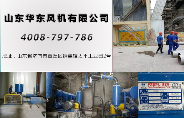 雙極串聯(lián)羅茨風機 雙極串聯(lián)羅茨風機