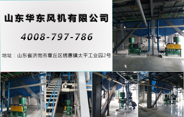 密集型羅茨風(fēng)機 密集型羅茨風(fēng)機