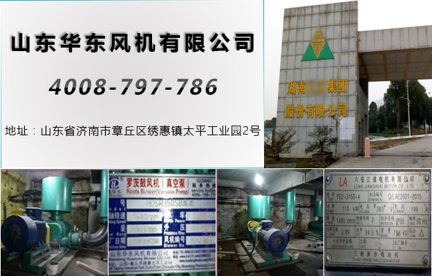 三葉羅茨風機 三葉羅茨風機