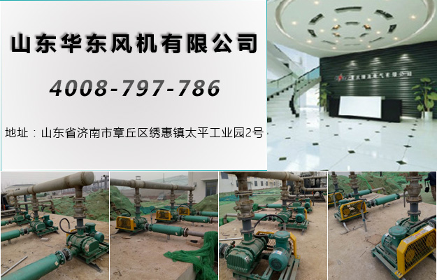 羅茨風機 羅茨風機