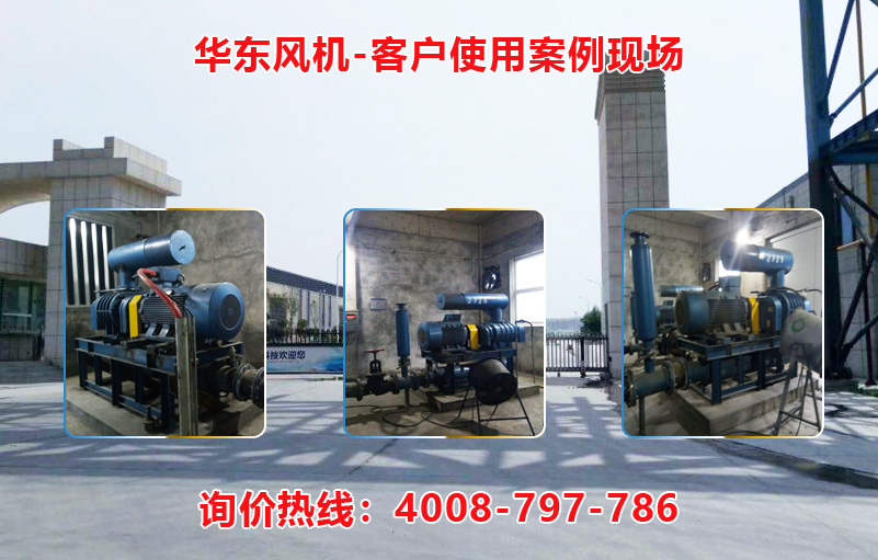 密集型羅茨風(fēng)機(jī) 密集型羅茨風(fēng)機(jī)