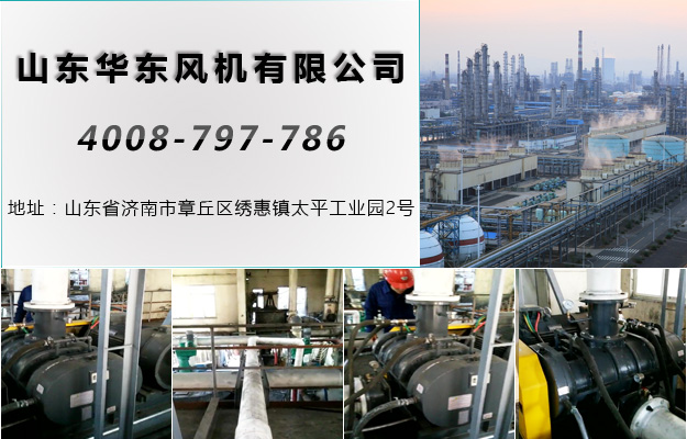 羅茨風(fēng)機(jī) 羅茨風(fēng)機(jī)