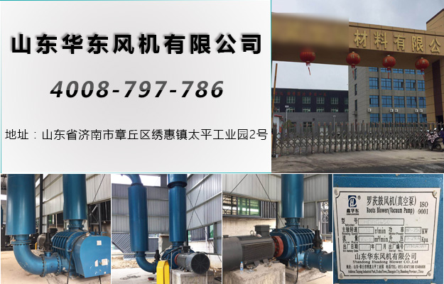 羅茨風(fēng)機(jī) 羅茨風(fēng)機(jī)